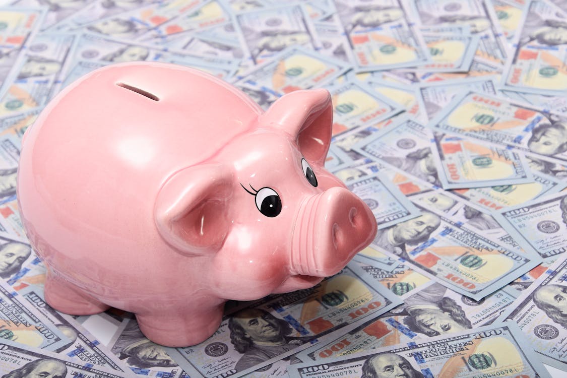 7 Small Business Cashback Programs In New York